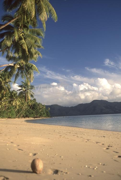 Islands;Fiji;coconut;palm trees;shore line;sky;blue water